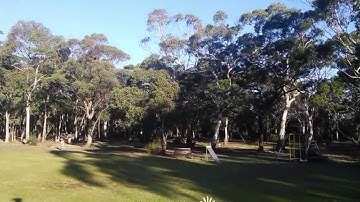 Bl;ade 350QX 2 with version 3 firmware update