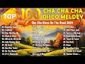 Top reggae dance mix 2024  new reggae cha cha disco medley  best reggae music experience