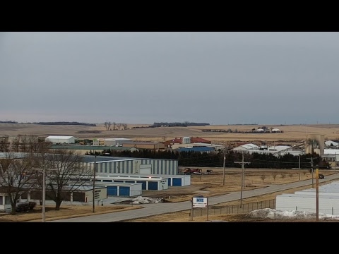Great Dane Weather Cam