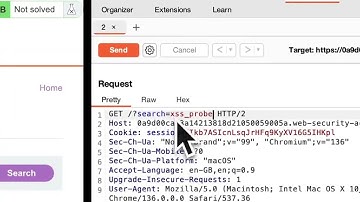 How to Quickly Find Reflected Input Using Burp Suite Repeater | #00