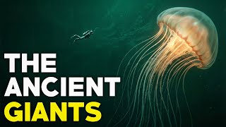 How the Antarctic Turns Normal Animals into Giants