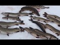 Рыбалка в Западной Сибири