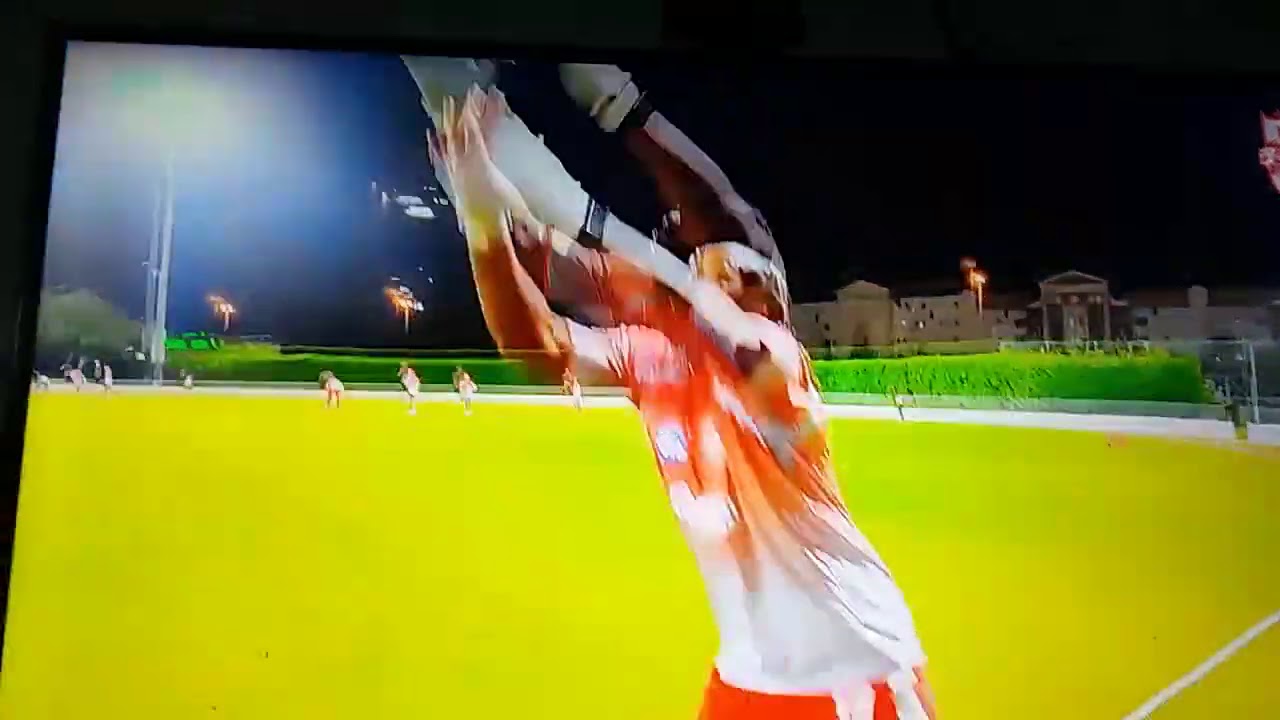 Chris Gayle best catch ever 