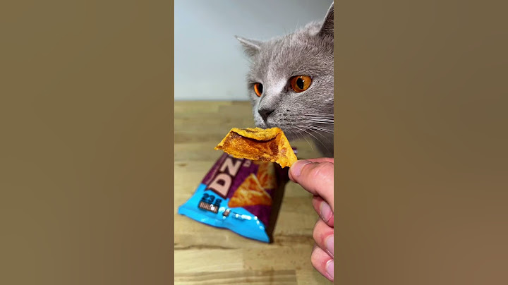NAJDROŻSZE CHIPSY w HISTORII 💀 *TEST*