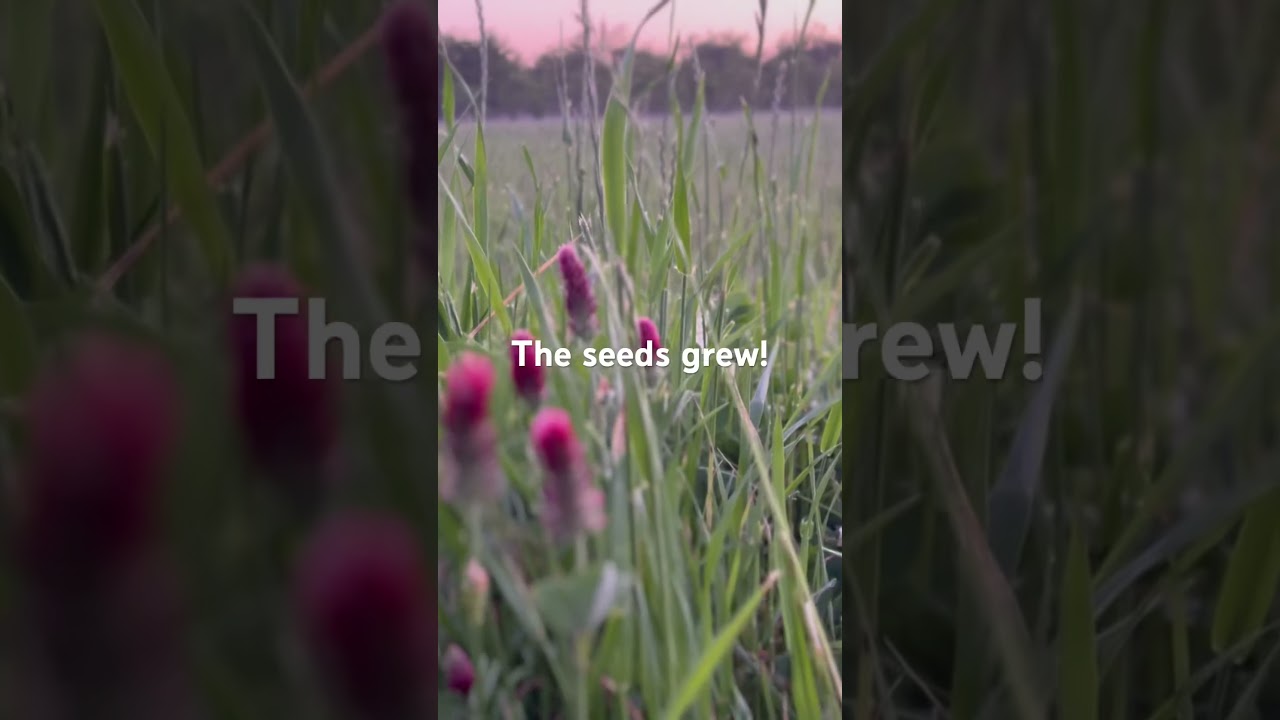 The Satisfying Process of Building Productive Land 