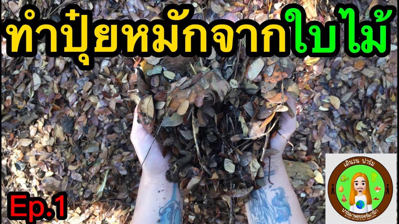 สอนทำปุ๋ยหมักใบไม้ง่ายๆแต่ได้ผลจริง