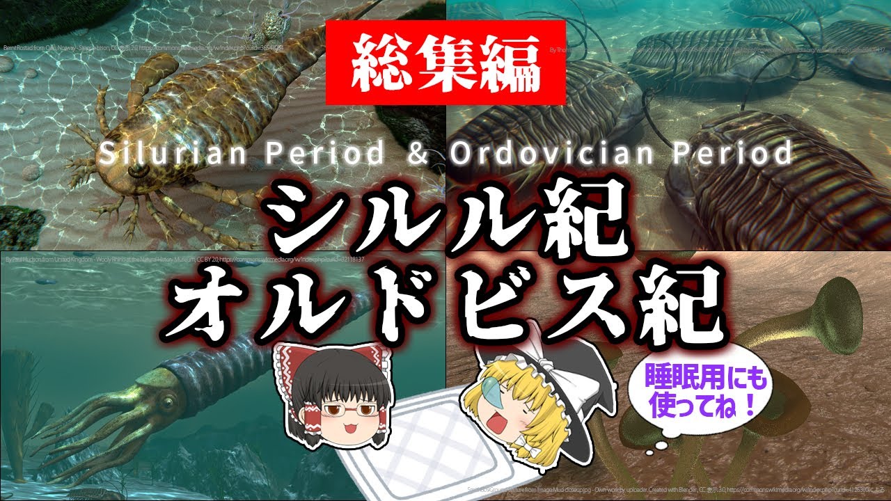 【睡眠用・ゆっくり解説】シルル紀・オルドビス紀とは？　カメロケラス/三葉虫/ウミサソリなど【途中広告なし】