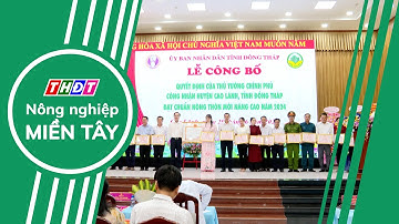 Huyện Cao Lãnh đạt chuẩn nông thôn mới nâng cao | Nông nghiệp Miền Tây