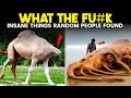 Things People Found Without Even Looking (Totally Unreal!)