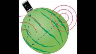 Download watermelon prober APK | تأكد إذا كانت البطيخة جيدة أو غير ناضجة عن طريق الهاتف screenshot 5