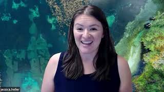 America’s Best Beach Town? 🌊 | Gulf Coast Jam, Michelin Chef & Florida Travel News