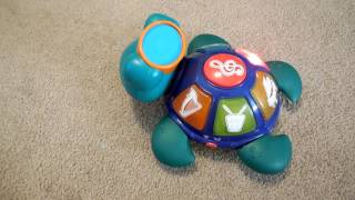 baby einstein musical turtle