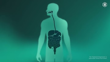 Hovione - Dispersome® - Solubility Enhancement Technology