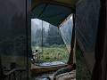 This is the most relaxing camping trip ever.🌧️🐕#goldenretriever #rainforest #heavyrain #tentlife