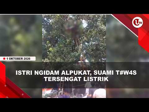 AMBIL ALPUKAT UNTUK ISTRI NGIDAM, SUAMI DI BITUNG T#WAS TERSENGAT LISTRIK | U-NEWS