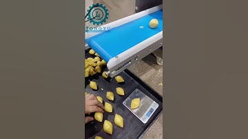 Desktop Kubba/Kibbeh/Kebbeh Encrusting Machine