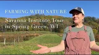 Could Agroforestry Change the Way We Farm