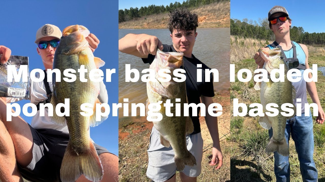 Loaded pond spring bass fishing