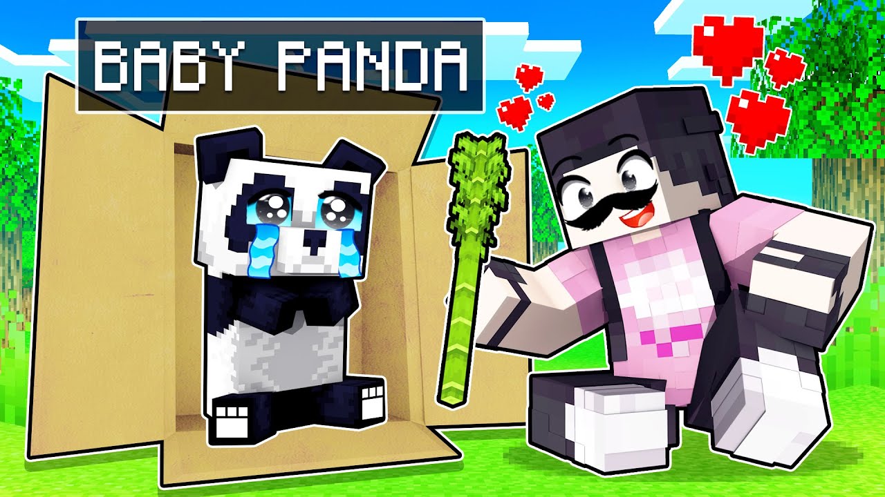 ich verkaufe 1.000.000$ PANDA an iCrimax!