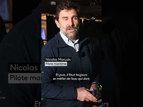 Immersion avec des pilotes de port : en quoi consiste le métier ?