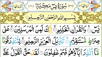 প্রতিদিন সকালে শুনুন – সূরা ইয়াসিন (سورة يس) | হৃদয় নিরাময়কারী এবং শান্তিপূর্ণ কুরআন তেলাওয়াত