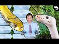 How Should We House Snakes? A Response To Brian Barczyk + False Water Cobra Update