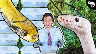 How Should We House Snakes? A Response To Brian Barczyk + False Water Cobra Update