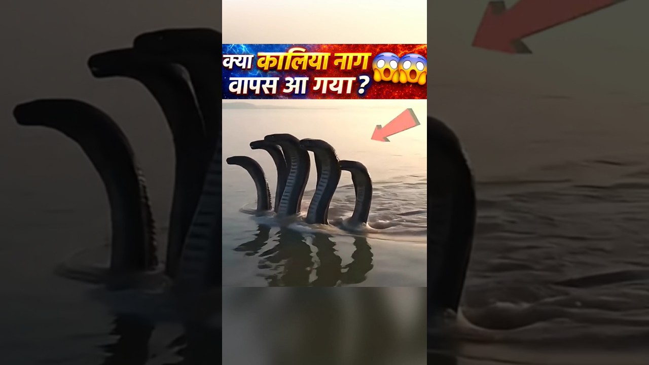 क्या कालिया नाग वापस आ गया?😶‍🌫️😲
