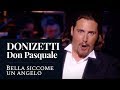 DONIZETTI - Don Pasquale : "Bella Siccome Un Angelo" (Sempey) (Live) [HD]