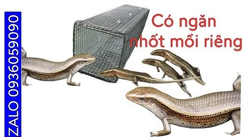 Bẫy rắn mối. Lồng bẫy rắn mối. Bán bẫy rắn mối. Bán bẫy dông cát. Bán bẫy kỳ nhong.