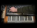 Transcendent 2000 analog mono synthesiser from 1978