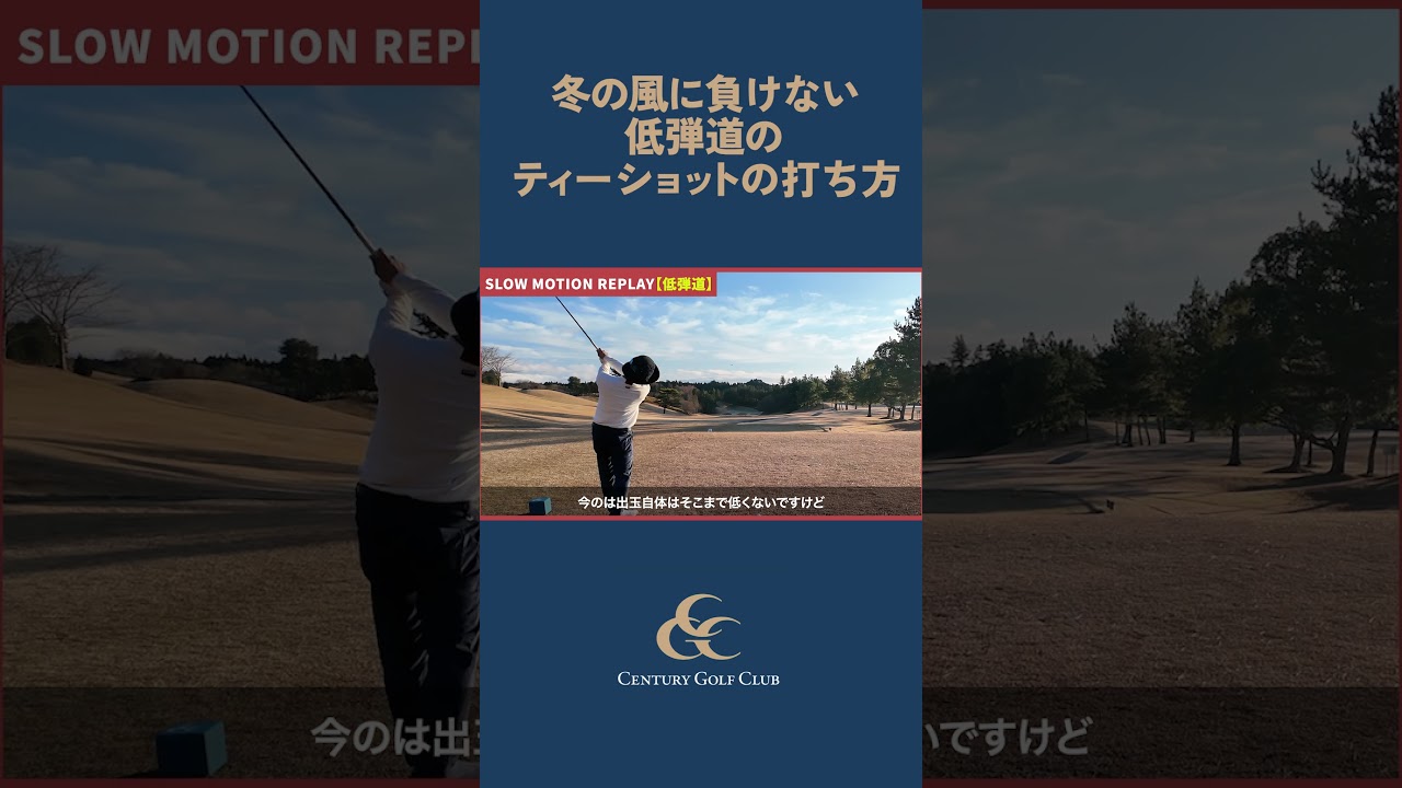 冬の風に負けない！低弾道のティーショットの打ち方　🏌️‍♂️センチュリーゴルフクラブ　#藤田翼　#低弾道ティーショット　#