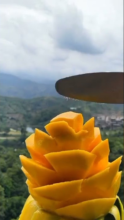 Siang Siang Paling Enak Makan Buah Mangga🤤#shorts #tiktokviral #whatsappstatus #storywa