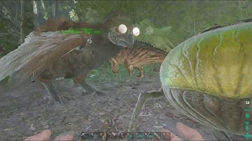 Soloing the Ark - EP23 - Of Caves and Dung Beetles!