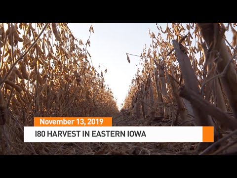AgDay 11/13/19