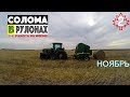 Работа на ферме. Солома в рулонах. Канада саскачеван влог