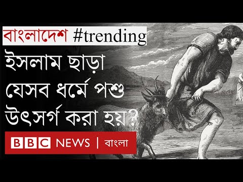 ভিডিও: পশু দেখা কি বেআইনি?