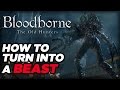 How to Turn Into a Beast in Bloodborne: The Old Hunters