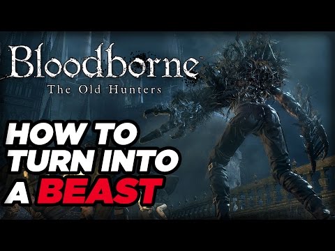 How to Turn Into a Beast in Bloodborne: The Old Hunters