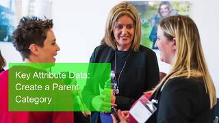 Sage CRM - Key Attribute Data - Create a Parent Category