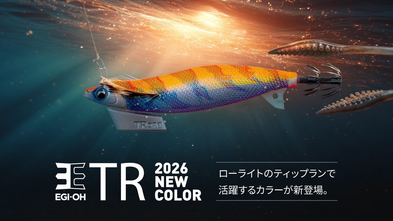 エギ王 TR｜YAMASHITA｜イカ釣りで世界トップクラス