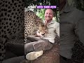 Who owns that Cat at the end , You Better hide your money 💰#pets #animallovers #shorts #goviral