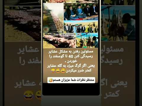 فقط بیچاره ها شانس آوردند خودشون را نخوردند خخخخخ سابسکرایب کنید خندانندهشو 