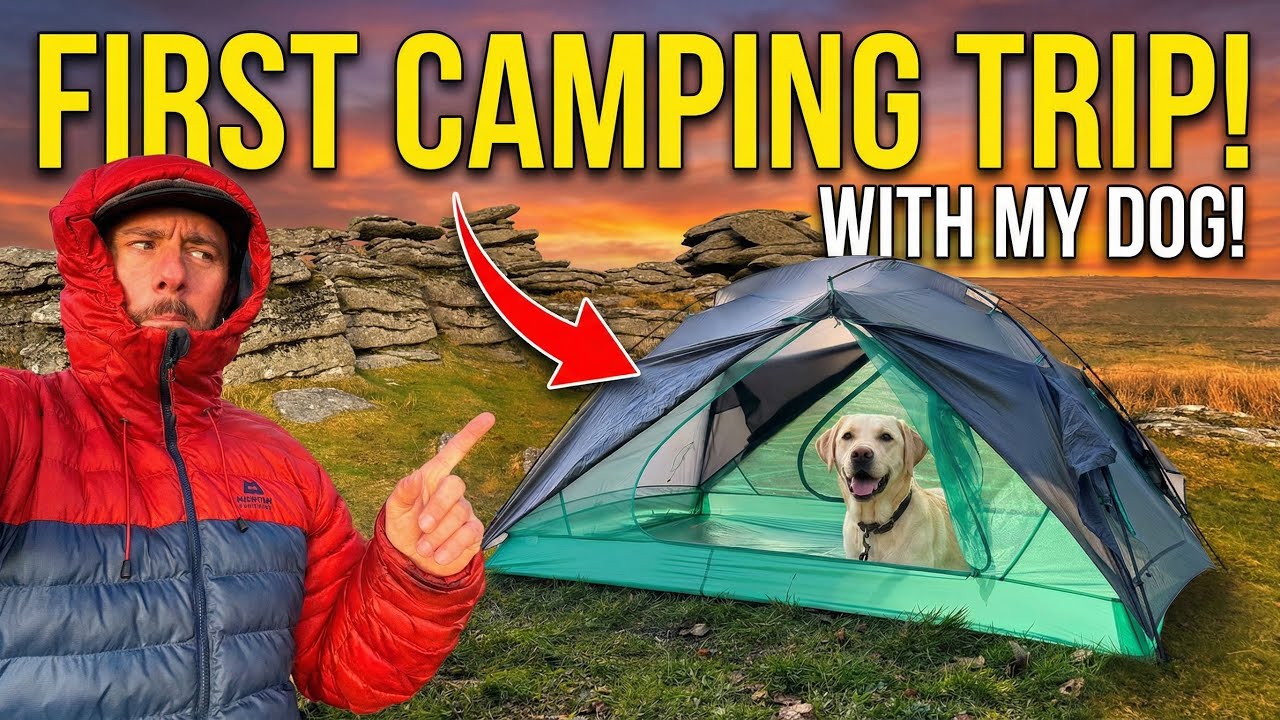A WET & WINDY Wild Camp to Test this NEW Tent! But Does my Dog like wild camping Y/N?