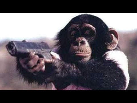 [Gun Monkeys] - на меня напала макака !11