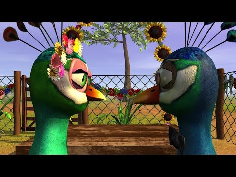 El Pavo y la Pava - Canciones Infantiles (Riki Maravilla)