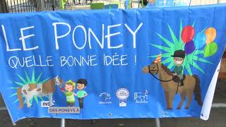 Insolite : Des poneys à l’espace Saint-Quentin