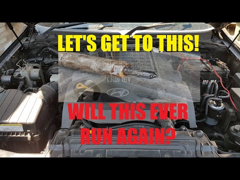 Hyundai Terracan Injector Seal Replacement