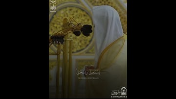 ﴿رَبِّ اجعَلني مُقيمَ الصَّلاةِ وَمِن ذُرِّيَّتي﴾ من سورة إبراهيم .. الشيخ عبدالله البعيجان 🤍..