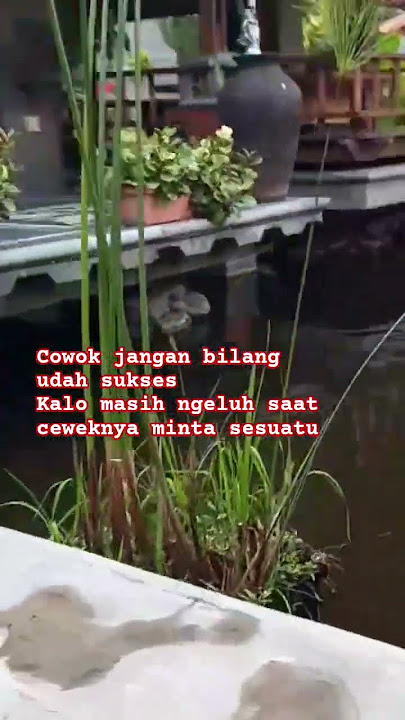 jangan bilang udah sukses - statuswa - storywa